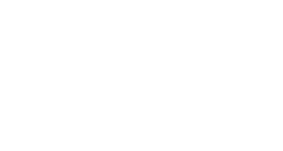 MM GROUP HLDGS.